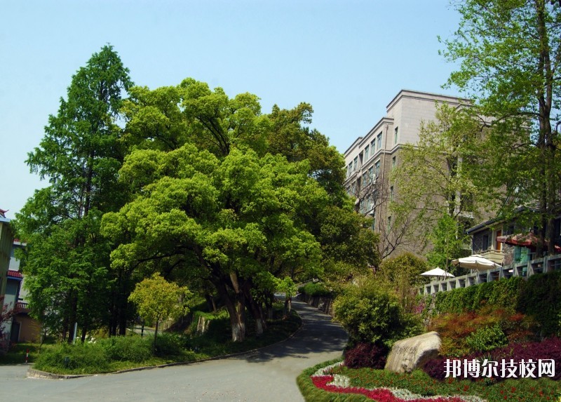 中國美術學院附屬中等美術學校2020年報名條件、招生要求、招生對象