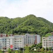 水城職業(yè)技術學校