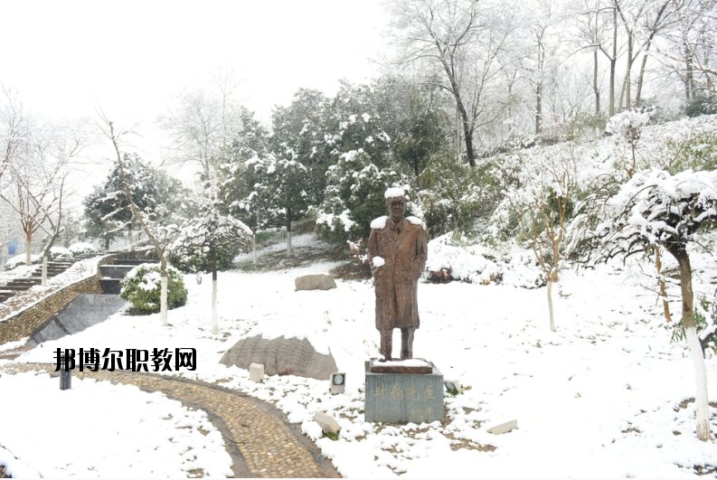 南京工業(yè)大學2020年報名條件、招生要求、招生對象