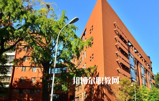 湛江湛港職業(yè)技術(shù)學(xué)校2020年報名條件、招生要求、招生對象