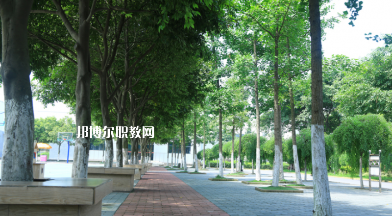樂(lè)山計(jì)算機(jī)學(xué)校怎么樣、好不好