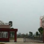隆安縣中等職業(yè)技術學校
