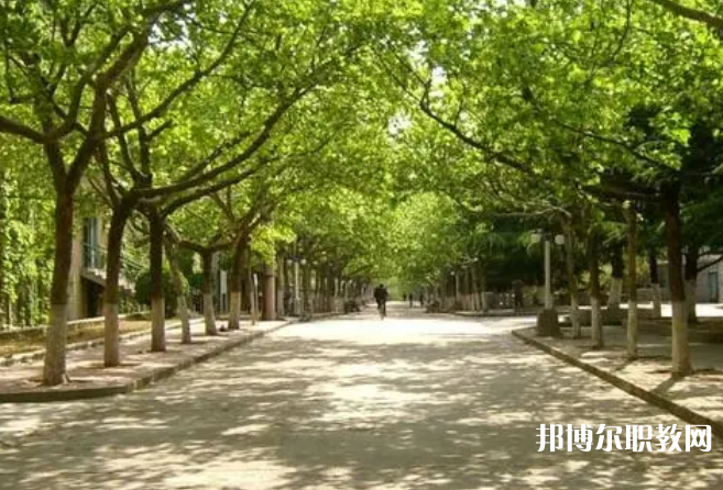 成都2025年讀鐵路學(xué)?？梢钥即髮W(xué)嗎
